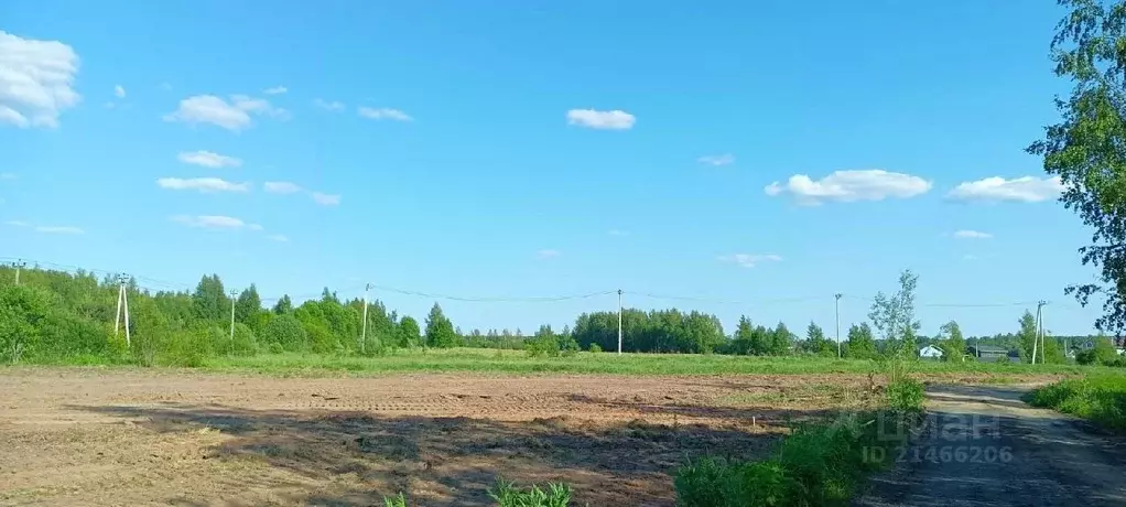 Участок в Новгородская область, Новгородский район, д. Сопки ул. ... - Фото 0