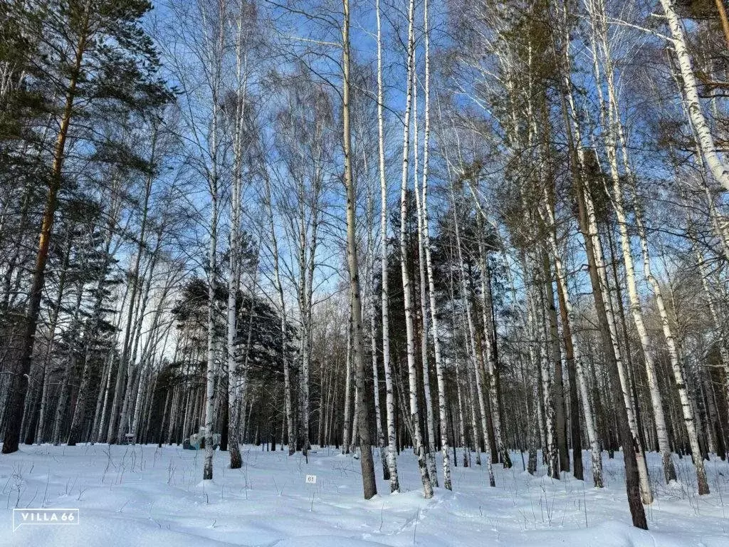 Участок в Свердловская область, Сысертский городской округ, пос. ... - Фото 0