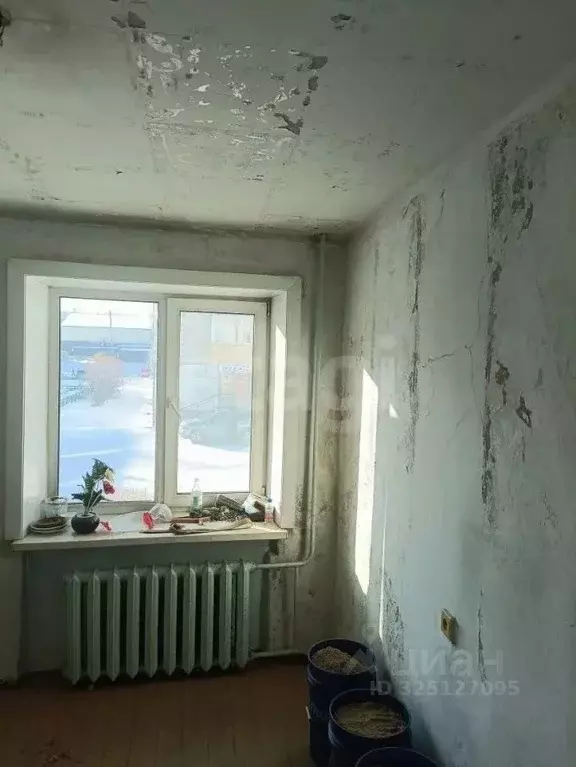 2-к кв. Амурская область, Шимановск 1-й мкр, 15 (40.0 м) - Фото 1