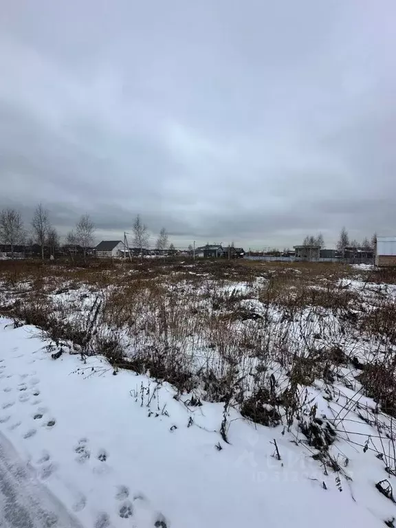 Участок в Московская область, Пушкинский городской округ, с. ... - Фото 1