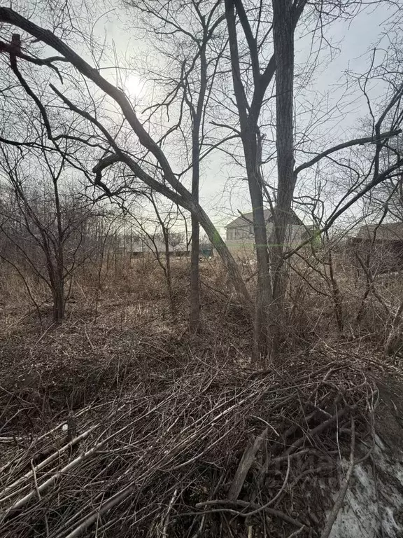 Участок в Приморский край, Артемовский городской округ, с. Кневичи ул. ... - Фото 2