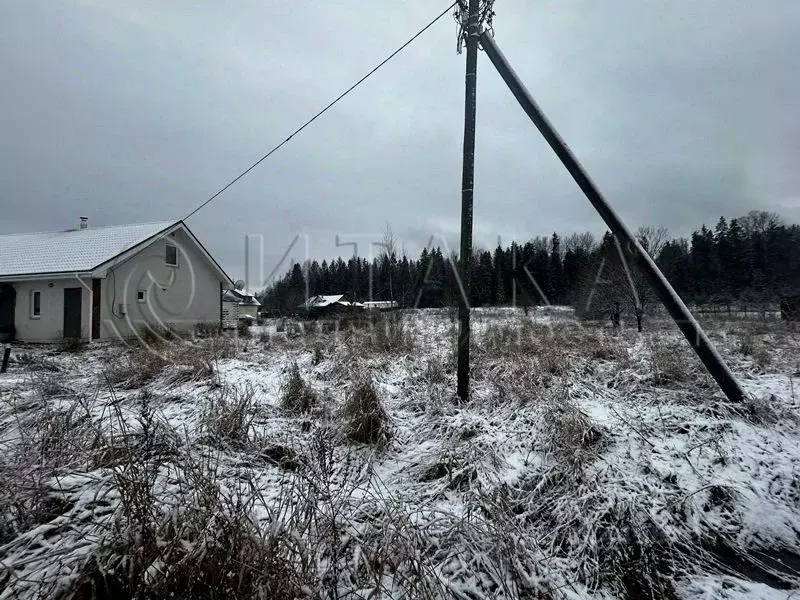 Участок в Ленинградская область, Выборгский район, пос. Селезнево  ... - Фото 2
