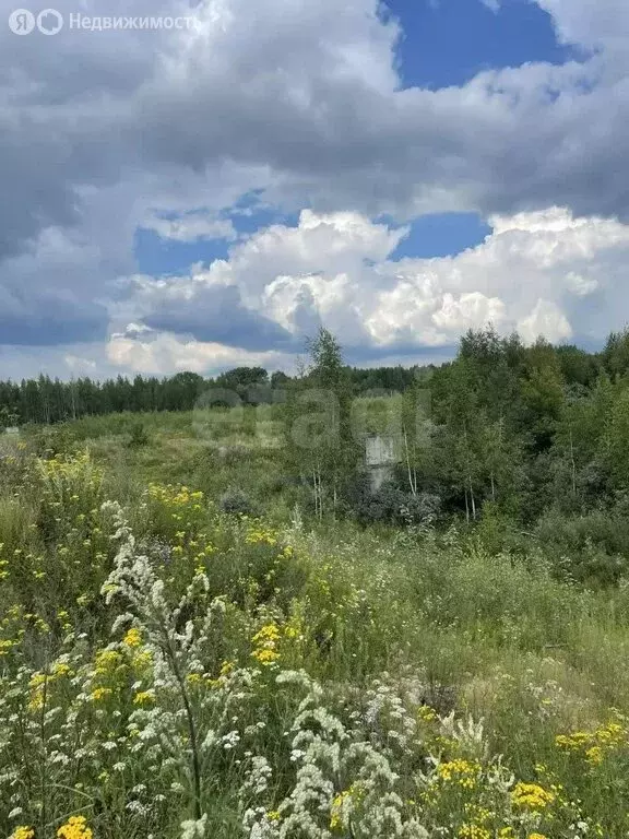 Участок в Ярославль, Волгостроевская набережная (512 м) - Фото 1