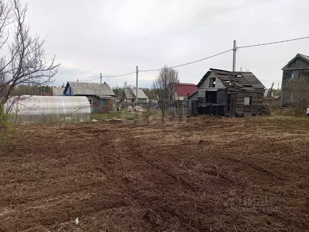 Участок в Иркутская область, Байкальск г. Слюдянский район, ... - Фото 2