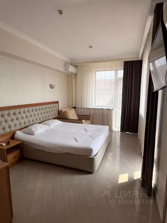 Студия Краснодарский край, Сочи ул. Единство, 13 (20.0 м) - Фото 1