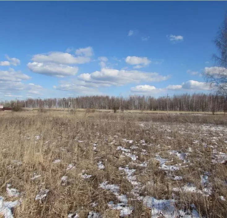 Участок в Московская область, Коломна городской округ, с. Никульское  ... - Фото 0