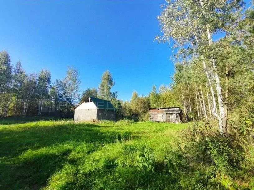 Участок в Кировская область, Юрьянский район, Мурыгинское городское ... - Фото 0