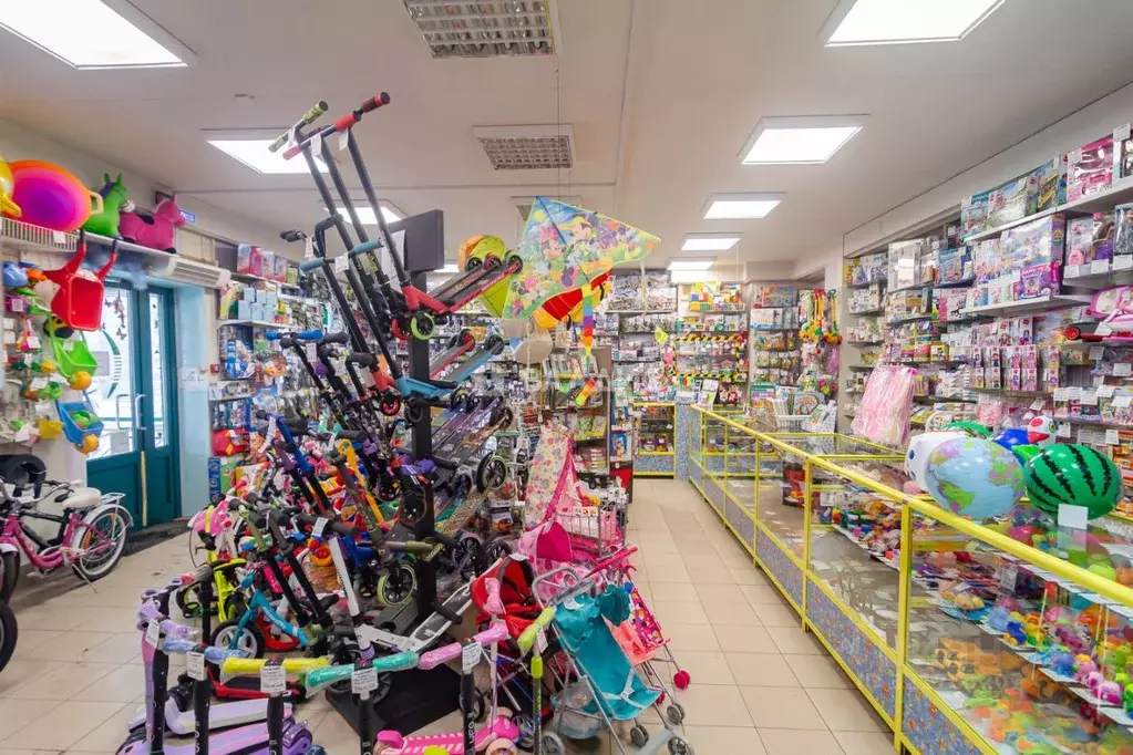 Торговая площадь в Карелия, Петрозаводск ул. Ровио, 3 (100 м) - Фото 1