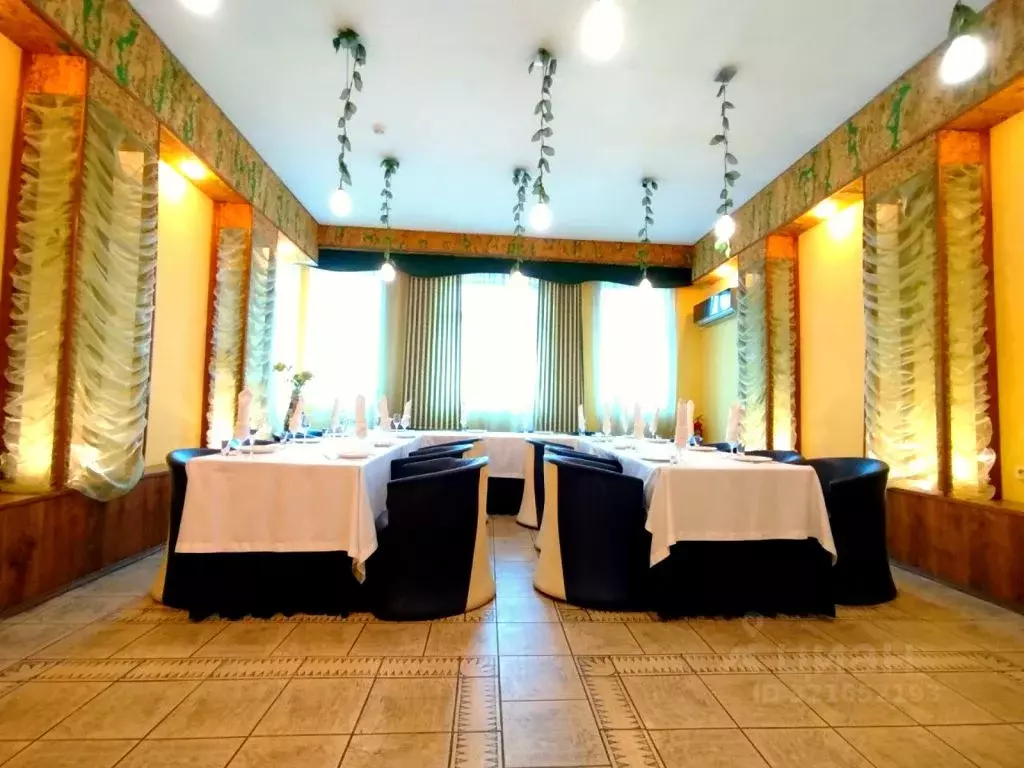 Помещение свободного назначения в Пензенская область, Пенза ул. ... - Фото 1