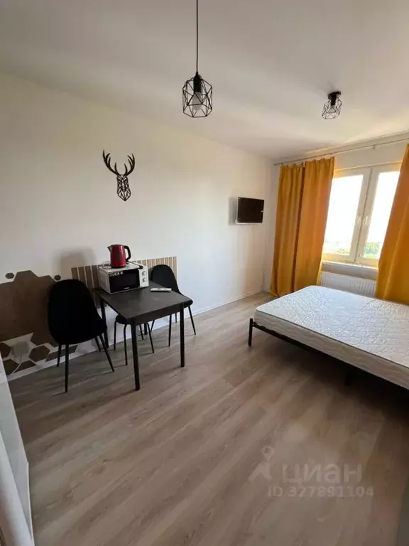 Студия Санкт-Петербург ул. Пахомовская, 14к2 (20.9 м) - Фото 2