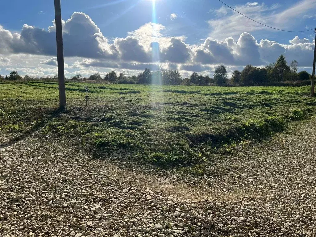 Участок в Ленинградская область, Ломоносовский район, Лопухинское ... - Фото 2
