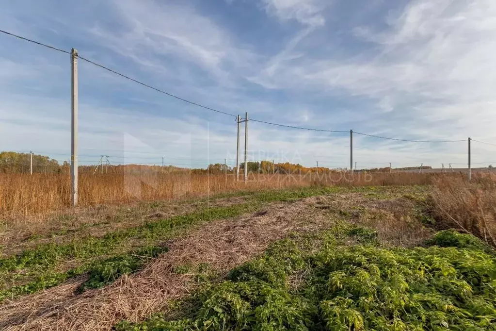 Участок в Тюменская область, Тюменский муниципальный округ, ... - Фото 1