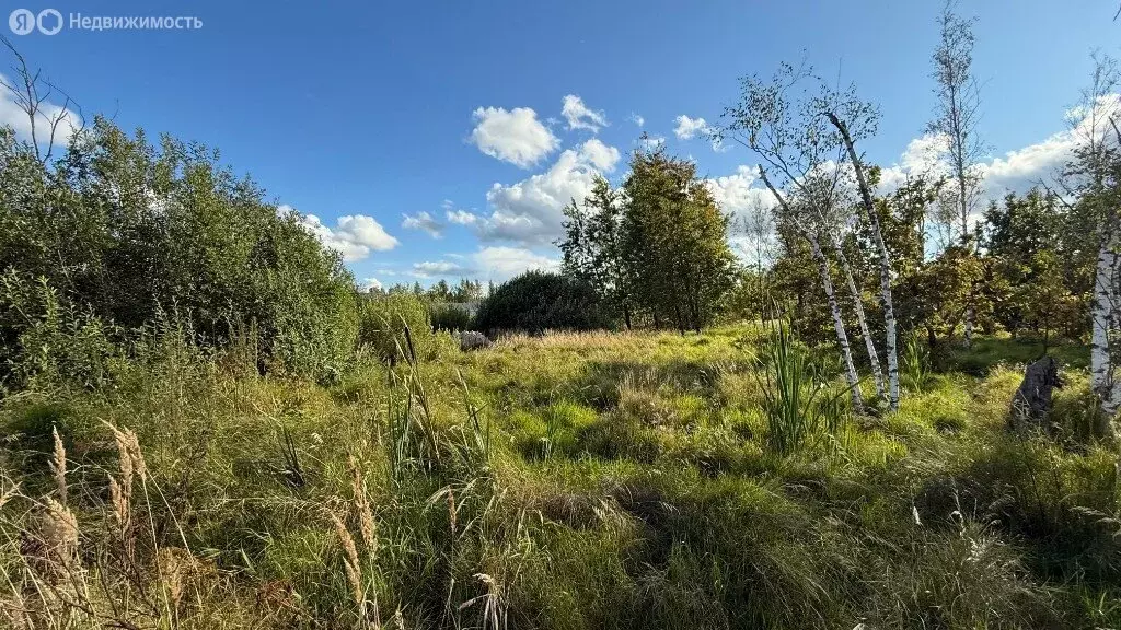 Участок в Московская область, муниципальный округ Истра, деревня ... - Фото 2