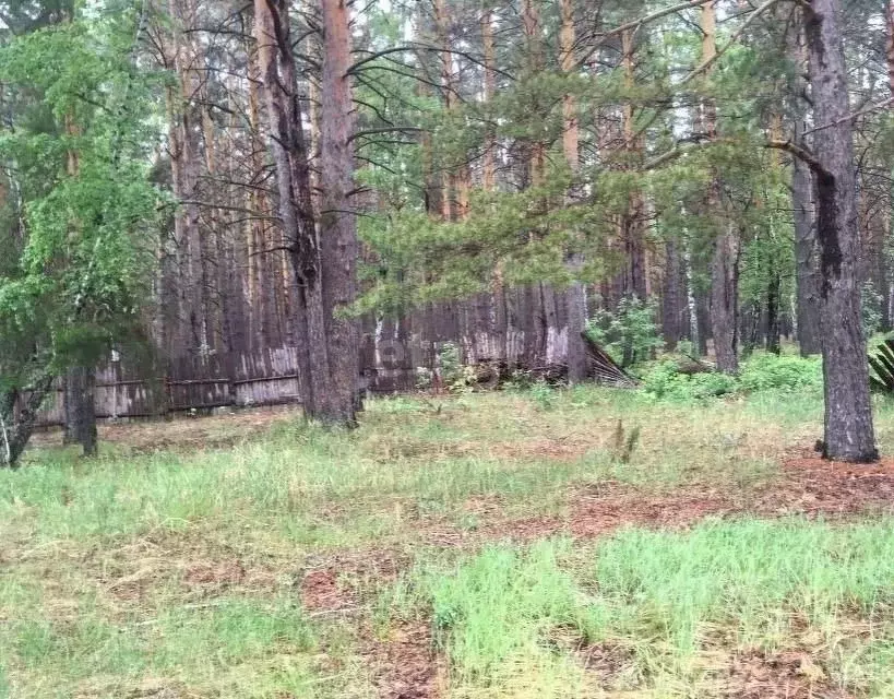 Участок в Курганская область, Кетовский муниципальный округ, с. ... - Фото 0