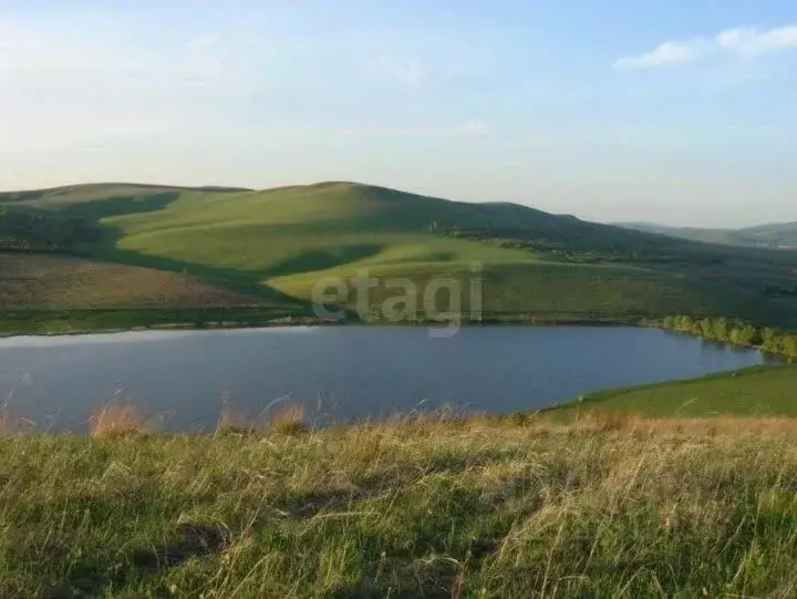 Участок в Алтай, Майминский район, с. Подгорное Центральная ул. (8.78 ... - Фото 2