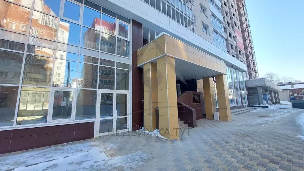 революции 1905 года 31ю воронеж фото алкотека. революции 1905г дом 31ю. революции 1905 года 31ю воронеж. революции 1905 года 31ю воронеж. революции 1905 года 31 г воронеж.