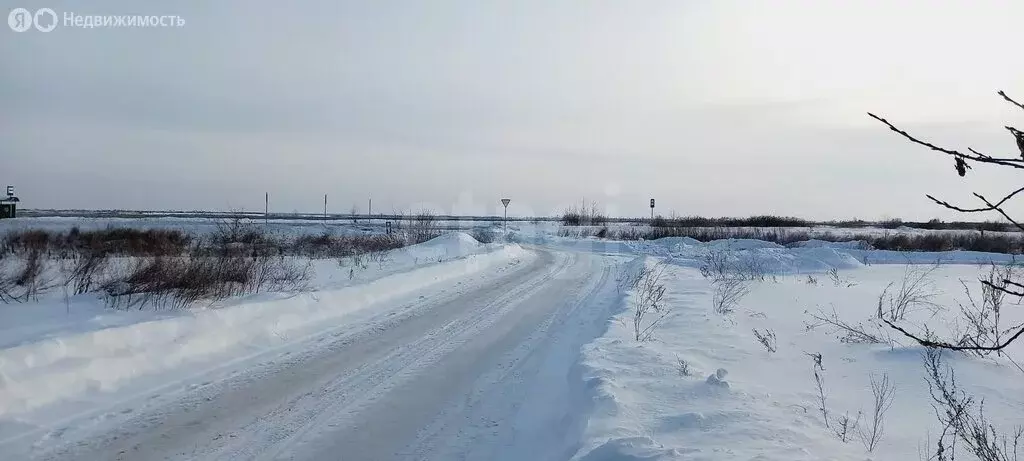 Участок в Курган, СНТ Боровое (7.5 м) - Фото 2