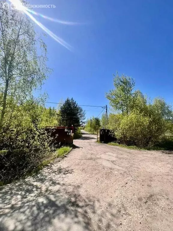 Участок в Богородский городской округ, СНТ Семья, 58 (12 м) - Фото 0