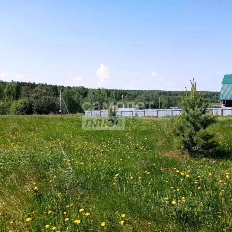 Участок в Свердловская область, Белоярский пгт пер. Свердлова (8.67 ... - Фото 1