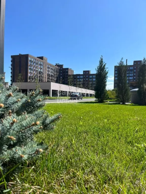 1-к кв. Адыгея, Майкоп ул. К.А. Васильева, 1к4 (31.5 м) - Фото 1