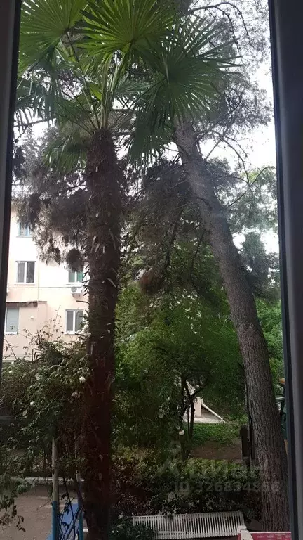 2-к кв. Крым, Алушта муниципальный округ, Партенит пгт ул. Солнечная, ... - Фото 2