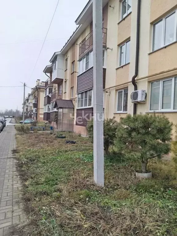 1-к кв. Нижегородская область, Городец Озерная ул., 11 (35.6 м) - Фото 2