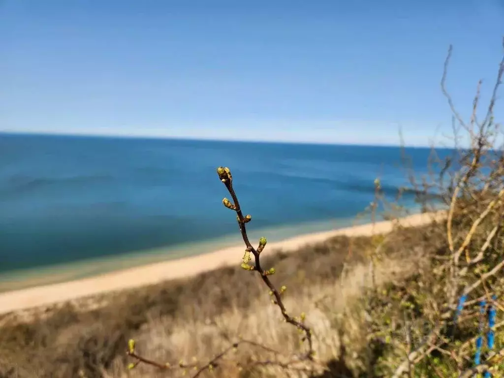 Участок в Краснодарский край, Темрюкский район, Фонталовское с/пос, ... - Фото 2