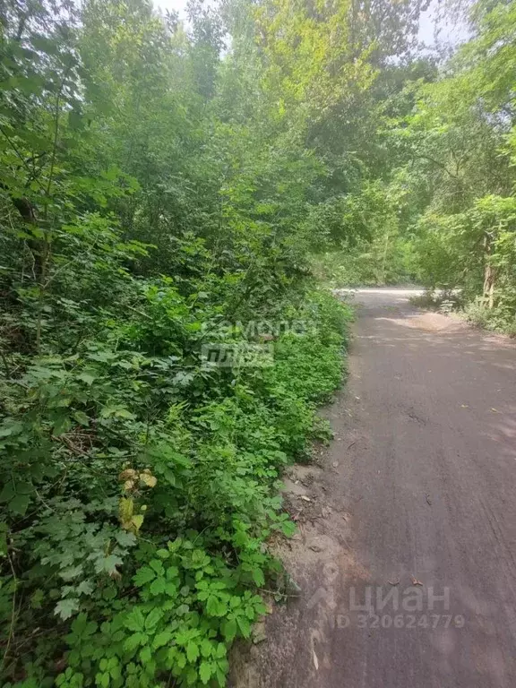 Участок в Воронежская область, Воронеж ул. Дарвина (8.0 сот.) - Фото 1