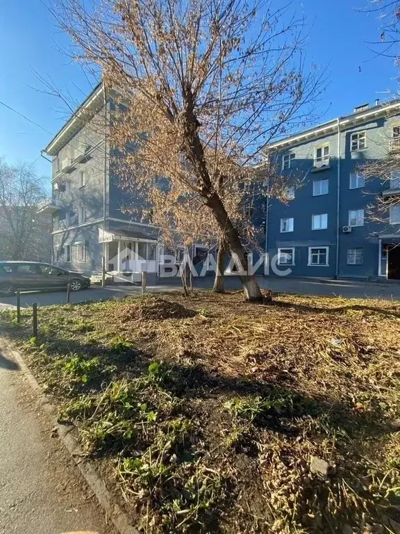 Торговая площадь в Новосибирская область, Новосибирск Ядринцевская ... - Фото 1