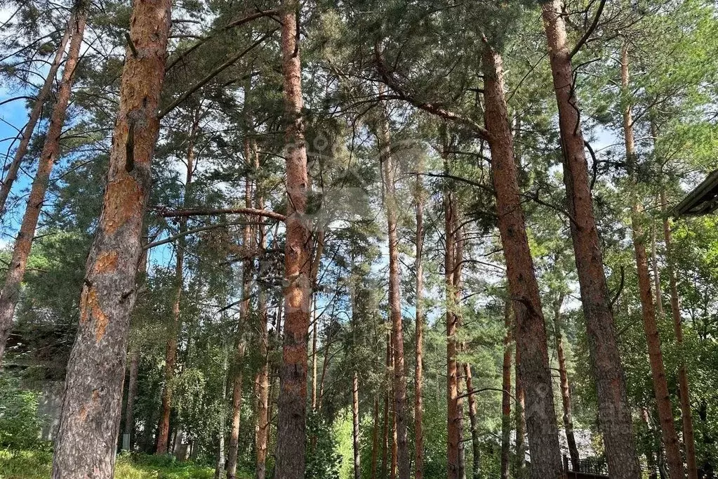 Участок в Московская область, Одинцовский городской округ, пос. ... - Фото 2