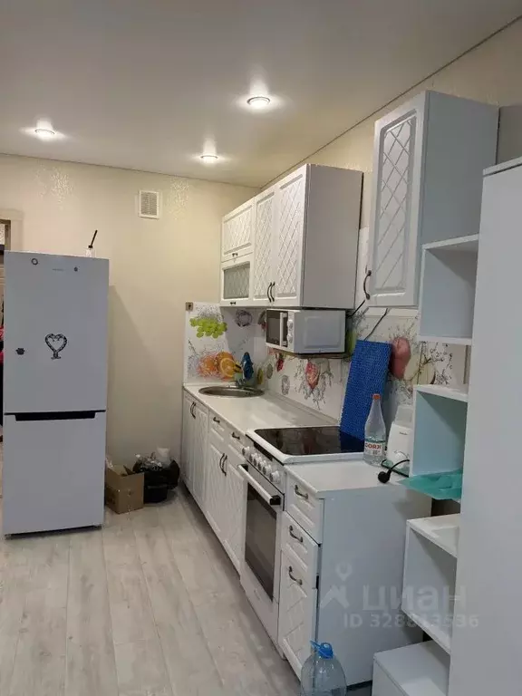 Студия Владимирская область, Владимир ул. Фейгина, 22 (28.0 м) - Фото 2