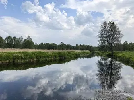 Участок в Владимирская область, Судогодский район, д. Лаврово  (18.0 ... - Фото 1