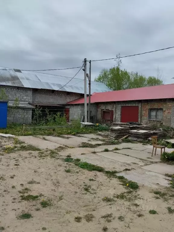 Участок в Ленинградская область, Приозерский район, Раздольевское ... - Фото 0