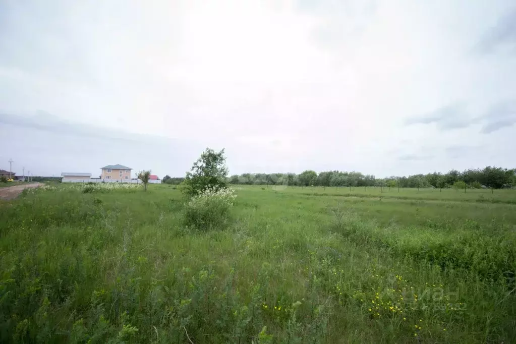 Участок в Томская область, Томский район, Ясная поляна ДНТ  (15.0 ... - Фото 2