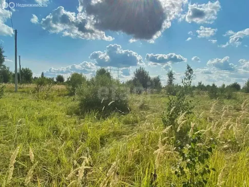 Участок в Большие Кургузи, Молодёжная улица (8 м) - Фото 0