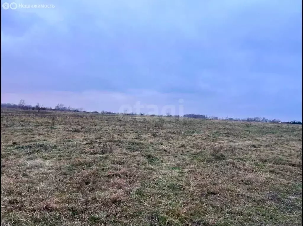 Участок в Калининградская область, Зеленоградский муниципальный округ, ... - Фото 2