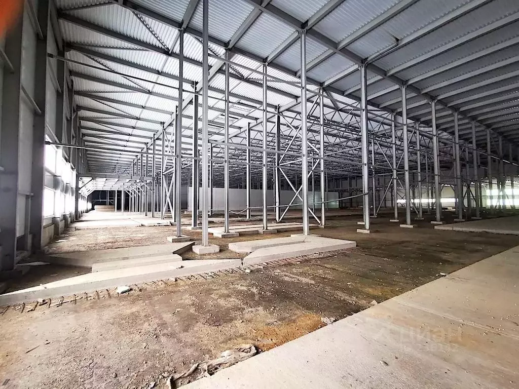 Производственное помещение в Ярославская область, Борисоглебский рп ... - Фото 0
