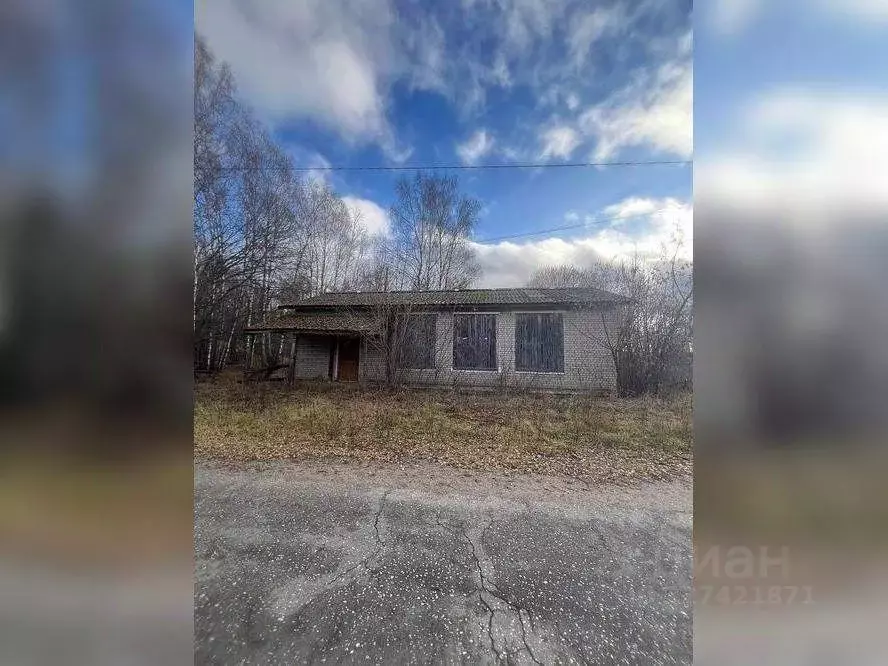 Помещение свободного назначения в Нижегородская область, Сокольский ... - Фото 1