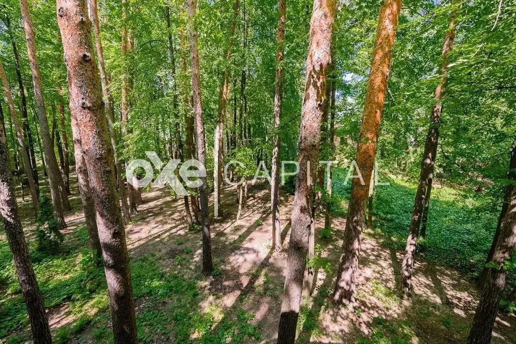 Участок в Московская область, Одинцовский городской округ, д. Бородки, ... - Фото 1