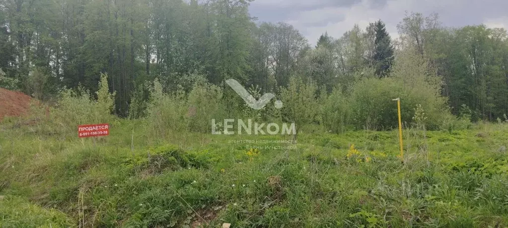 Участок в Удмуртия, Ижевск ул. Бобровая, 16 (10.29 сот.) - Фото 2