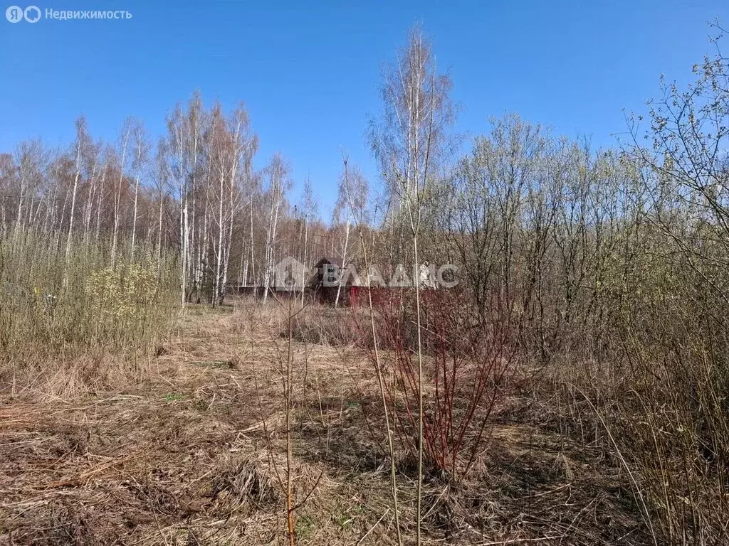 Участок в Владимирская область, Судогодский муниципальный округ, ... - Фото 1