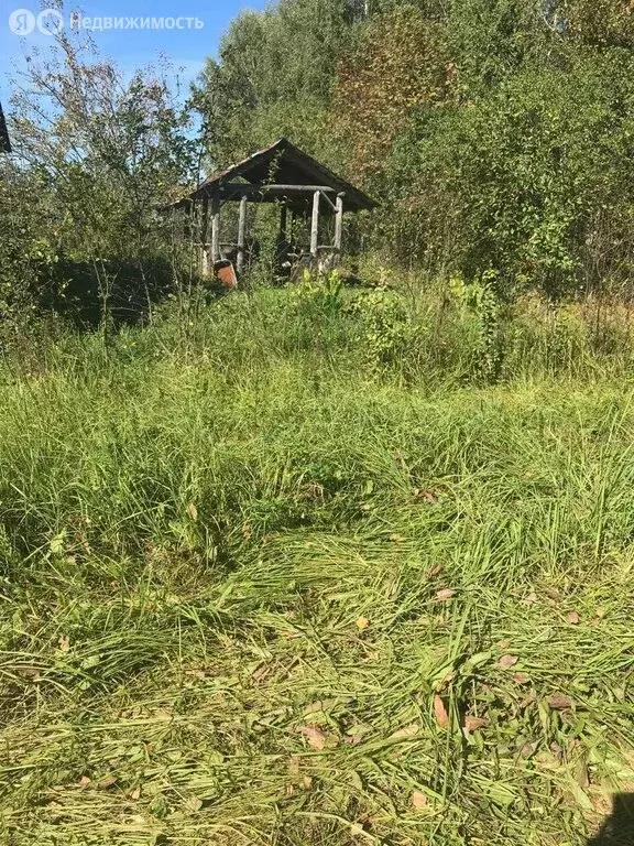 Участок в Суздальский район, муниципальное образование Селецкое, село ... - Фото 0