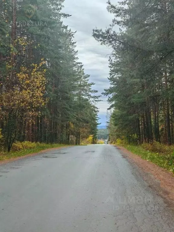 Дом в Свердловская область, Белоярский городской округ, пос. Рассоха, ... - Фото 1