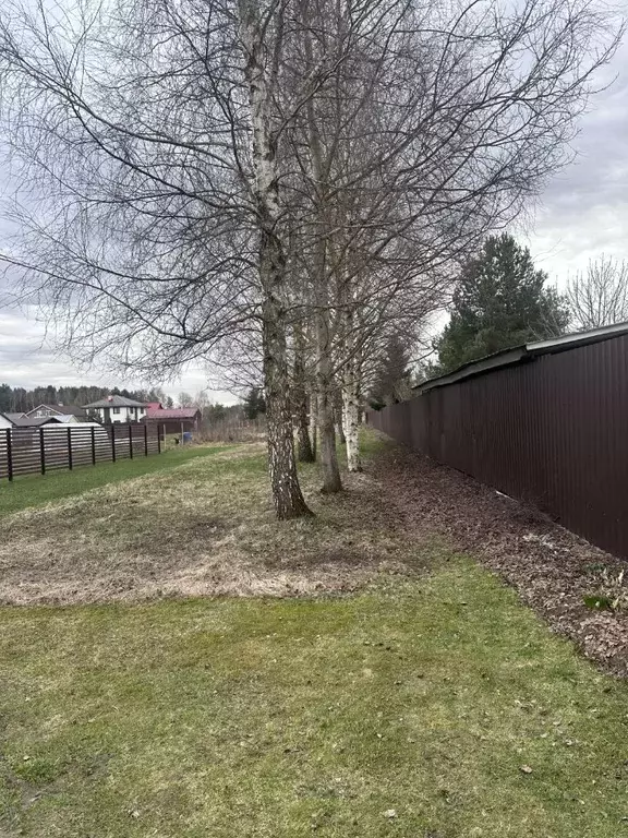 Участок в Московская область, Богородский городской округ, д. Починки ... - Фото 1