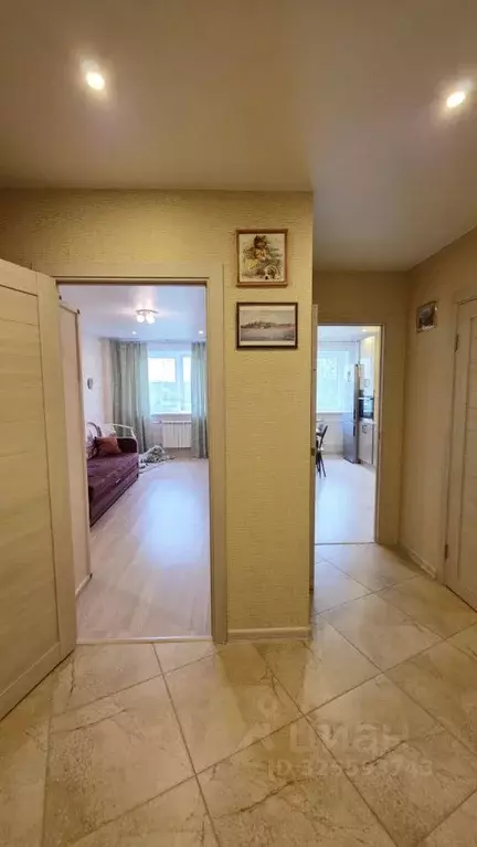 1-к кв. Московская область, Щелково городской округ, д. Большие ... - Фото 2