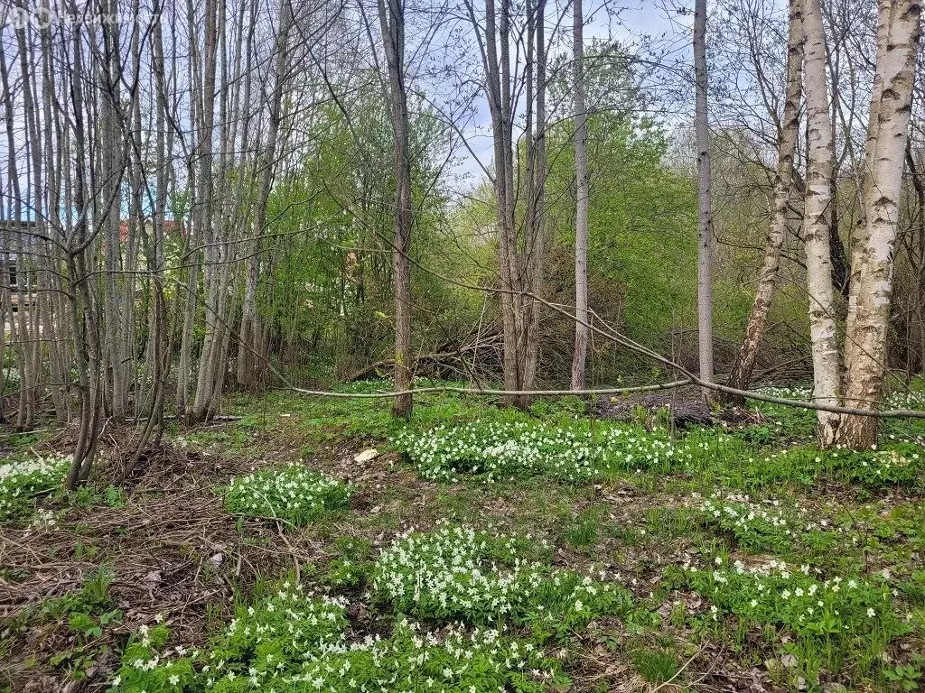 Участок в деревня Большие Горки, Кирилловская улица (10 м) - Фото 2