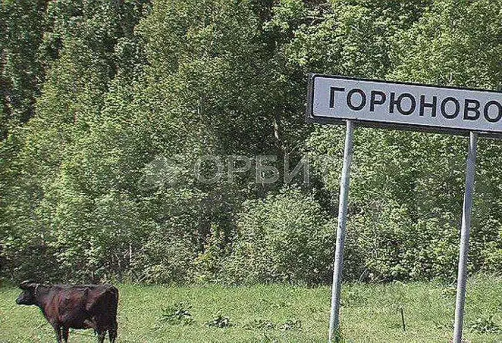 Участок в Тюменская область, Заводоуковский муниципальный округ, с. ... - Фото 0
