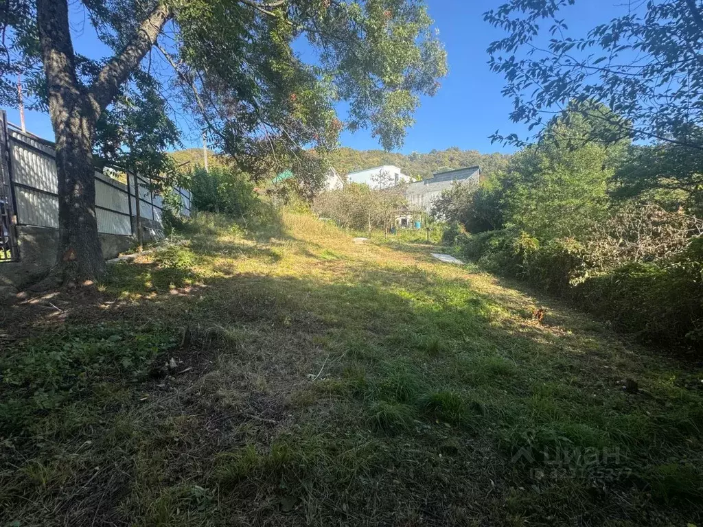 Участок в Краснодарский край, Сочи городской округ, с. Раздольное ул. ... - Фото 2