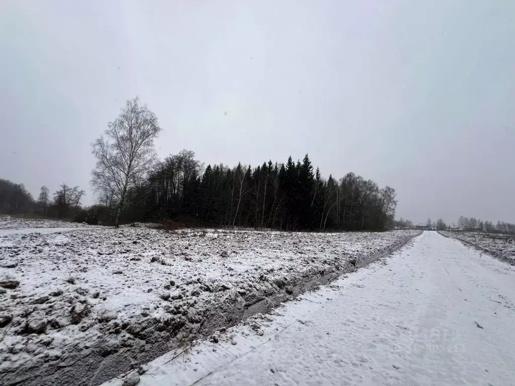 Участок в Московская область, Подольск городской округ, д. Пузиково, ... - Фото 0