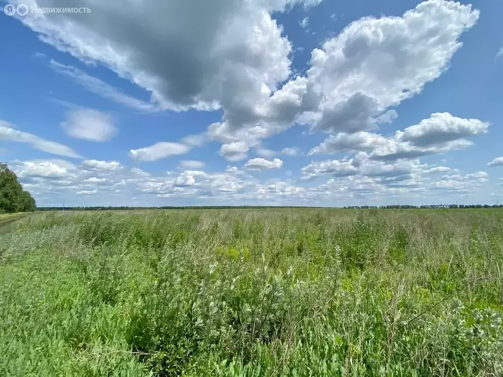 Участок в деревня Малиновка 1-я, Янтарная улица (10 м) - Фото 1
